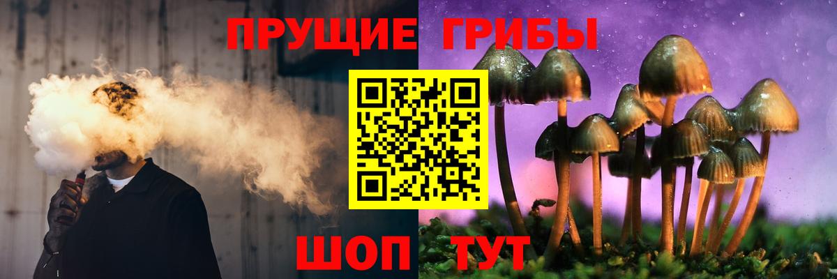 Галлюциногенные грибы прущие грибы Ярцево